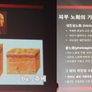 김동건피부과의원 네이버블로그