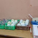 진산한의원 이미지