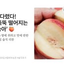 예사향농원 네이버블로그