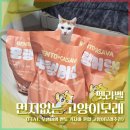 산타클로스 주식회사 방문판매원 | 펫라벨 먼지없는 고양이모래 후기 (벤토·카사바 혼합 모래)