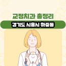 경기도 시흥시 하중동 교정치과 총정리