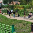 멍멍이 달린다 이미지