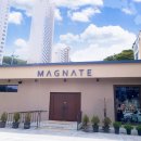메그네이트 이미지