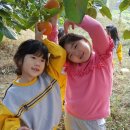 석천몬테소리어린이집 이미지