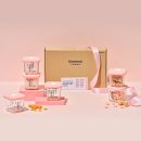 에스지씨솔루션(주)