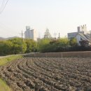 신록1로 이미지