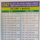 대왕암 공원 출렁다리~ 해안산책로(20211017) 이미지