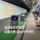 딤플스톤골프 이미지