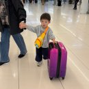 카페스누 | 가을 제주 여행 29개월 아기랑 3,4일차 :: 갑자기 고열 ㅠㅠ, 송악산, 천지연 폭포, 새미동산 꽃밭