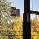 투썸플레이스 대전과학기술대점 이미지