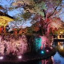 남원지리산공인중개사사무소 이미지