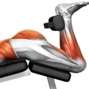 근모닝PT 이미지