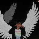 천사날개 이미지