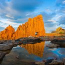 올래왕만두 이미지