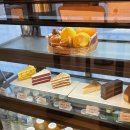 가비가배 이미지