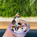 GS25제천영천점 | 제천 샤브올데이 영천점 오픈 내돈내산 솔직후기