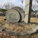 거문 | 🏞️ 제주 거문오름 방문 후기