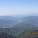 개굴개굴 이미지