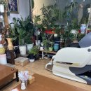 꽃마을로 | 부산 대신동 중국집 맛집 | 해정각 사천짜장 내돈내산 솔직후기