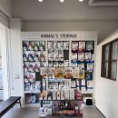 뉴케어동물병원 이미지