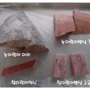 수정체육사 네이버블로그