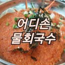 어디손물회 이미지