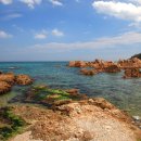 경정3리 마을입구 이미지