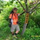 완도군 약산도 삼문산산행[20110619(일)] 이미지