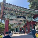 째깐이 | 양양 여행 코스 추천｜휴휴암 방문 후기 및 주변 볼거리