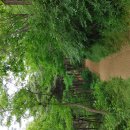 달리는철가방 이미지