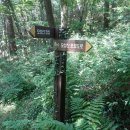 오성산 이정목 2개소 Waypoints 군산 260613 이미지