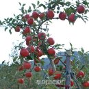(주)이투어세상 이미지
