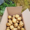 원 농장 이미지