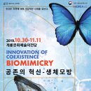 찾아가는 문화체험 놀이터 이미지