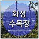 수목장 | 화성 수목장 실제 이용 후기 기반 장점과 사전 답사 예약 방법 안내