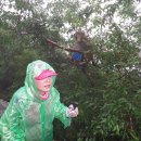 옥수농산 이미지