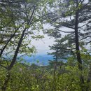 라돈까스 | 또또또 용두산 청소년수련원 코스