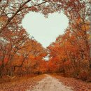 치매예방인지놀이 이미지