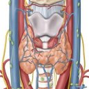 연세선앤유외과의원 이미지