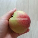대경농산