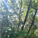 내곡동484 이미지