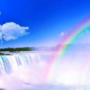 꿈이있는사과나무 이미지