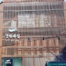 궁원복집 이미지