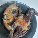 세븐일레븐목포용당이동점 | 3만보 걷는 뚜벅이 목포 유랑기 with 노견 : 오리날개...포차생똥집,브릭레인,철따라돌게장 다먹고 온 후기
