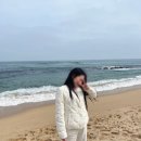 강릉숙소 수하림 네이버블로그