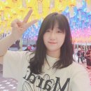 코모도호텔경주 | 경주 보문단지 숙소 추천｜ 코모도호텔 경주 1박 2일 후기(2026 벚꽃 시기)