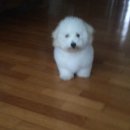 너애개만 이미지