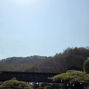 스완흑염소 이미지