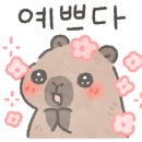 피규어플렉스 이미지