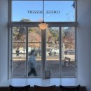 충남대로 | 대전 크리스마스 트리 충남대 카페 리풀 Leafful 후기